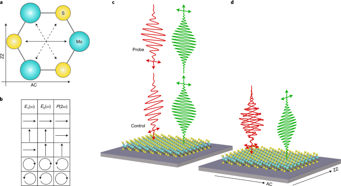 All-optical polarization and amplitude modulation of second-harmonic generation 